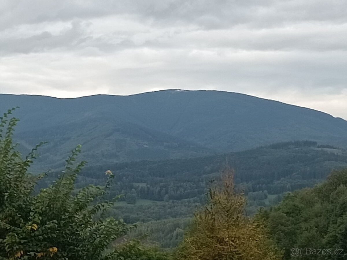 Lukrativní pozemek k zastavění 2 000 m² + 6 800 m²