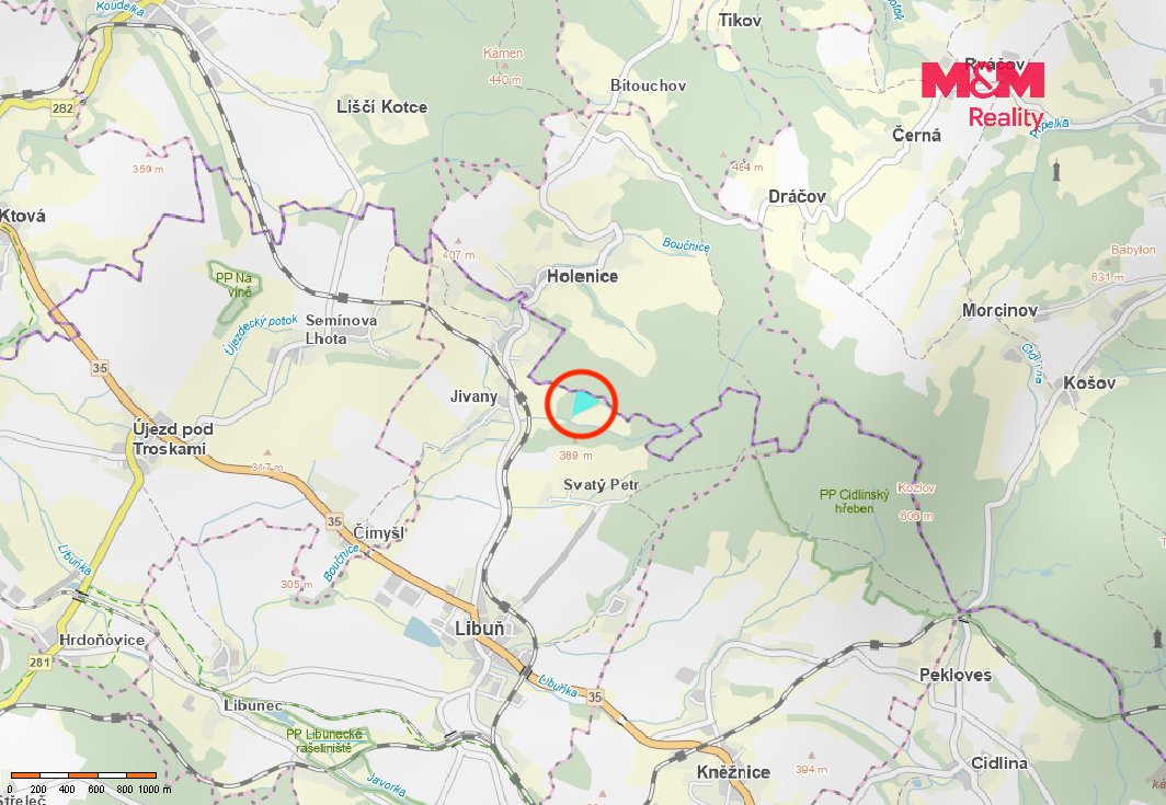 Prodej lesa, 15253 m², Libuň