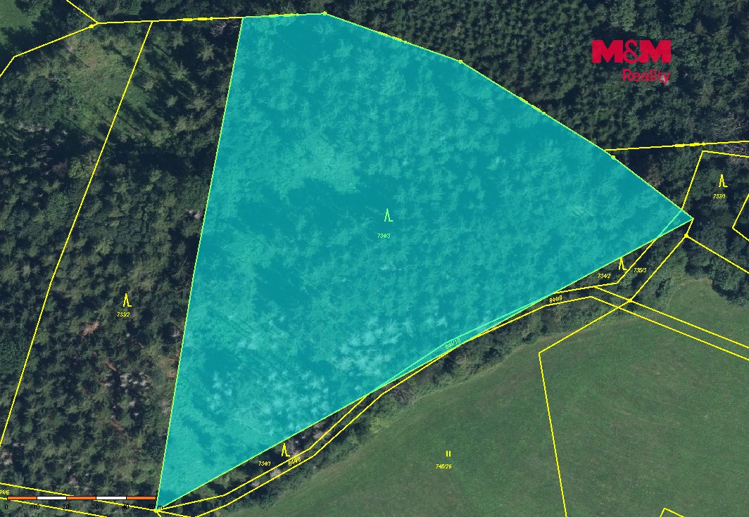 Prodej lesa, 15253 m², Libuň