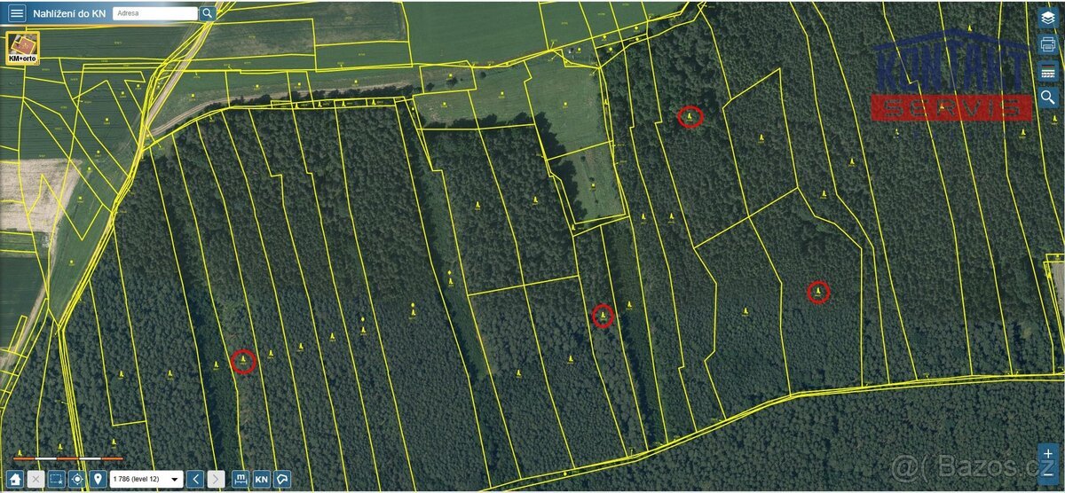Rozsáhlý dřevní komplex - kat. území Chotiná, ev.č. VŠ-8191
