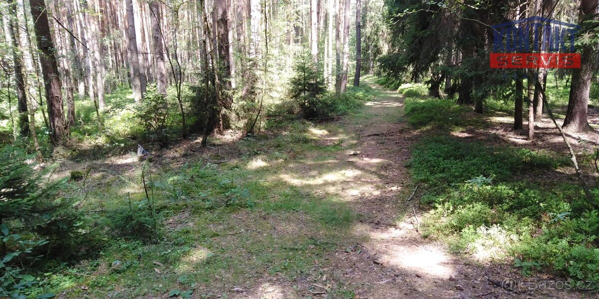 Rozsáhlý dřevní komplex - kat. území Chotiná, ev.č. VŠ-8191