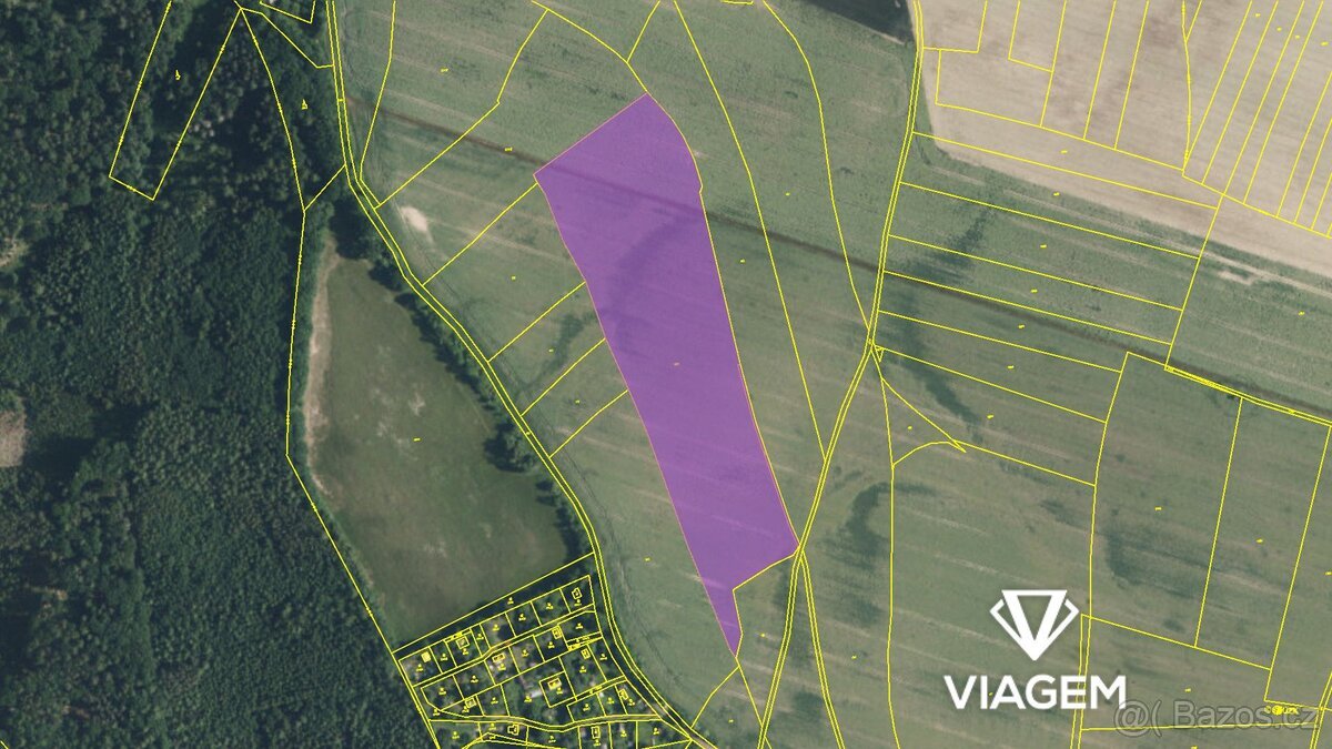 Pole 31 198 m², Podíl 13 % o výměře 3 900 m²