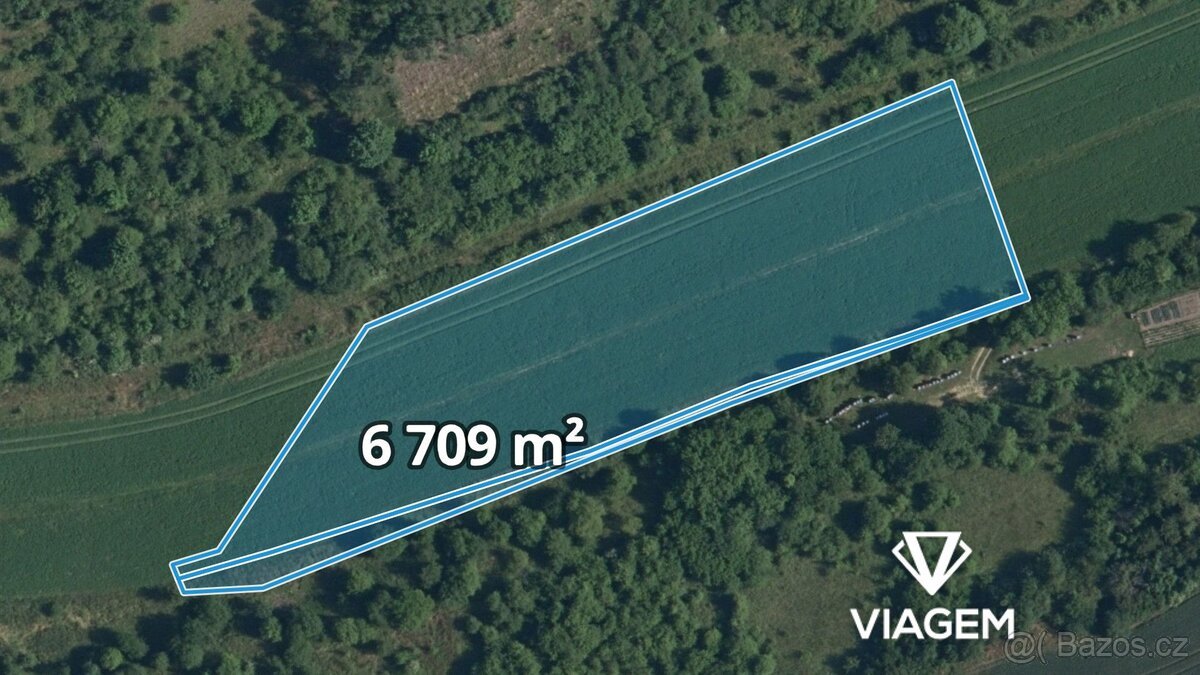 Pole 6 709 m², Podíl 88 % o výměře 5 870 m²