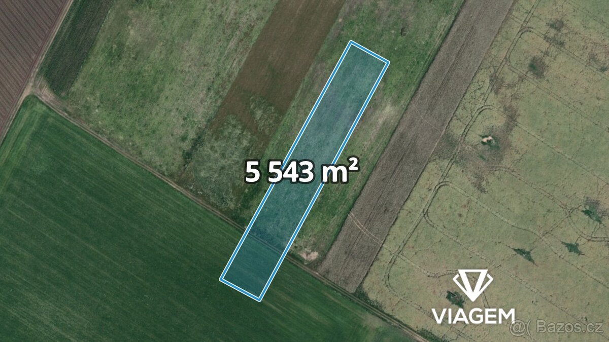 Pole 5 543 m²