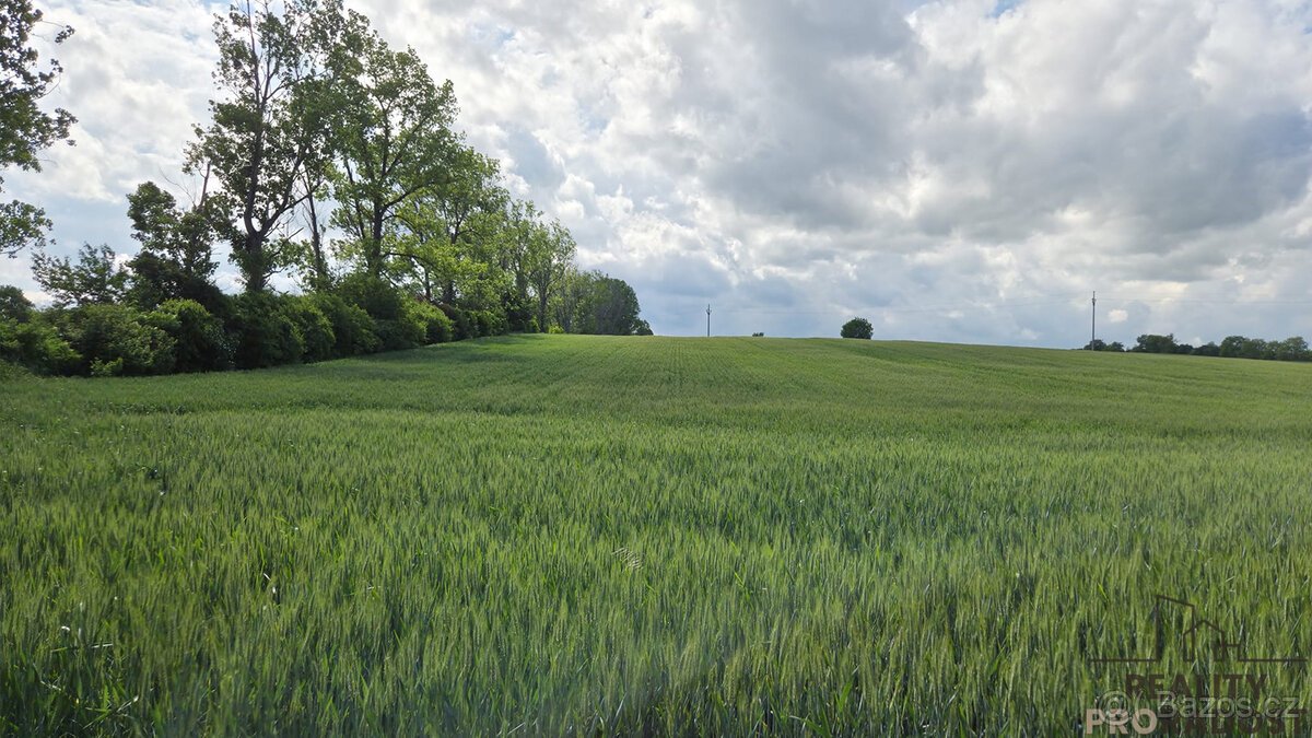 Prodej pozemků 2649 m2 v Kyjově - Nětčicích