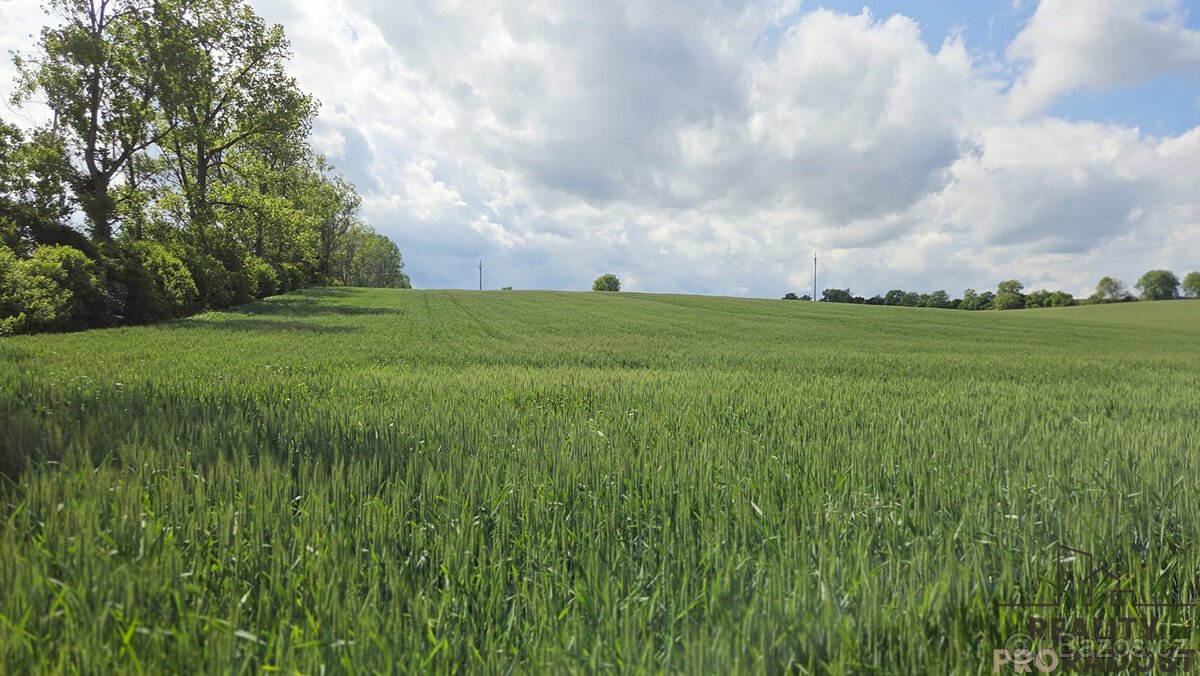 Prodej pozemků 2649 m2 v Kyjově - Nětčicích