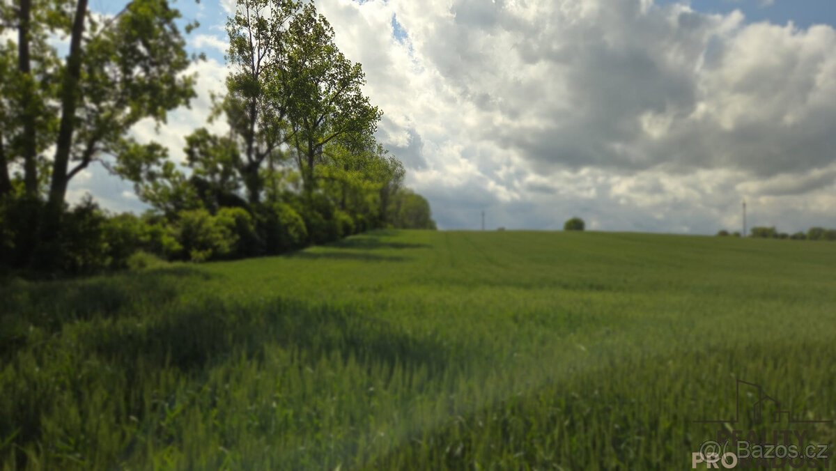 Prodej pozemků 2649 m2 v Kyjově - Nětčicích