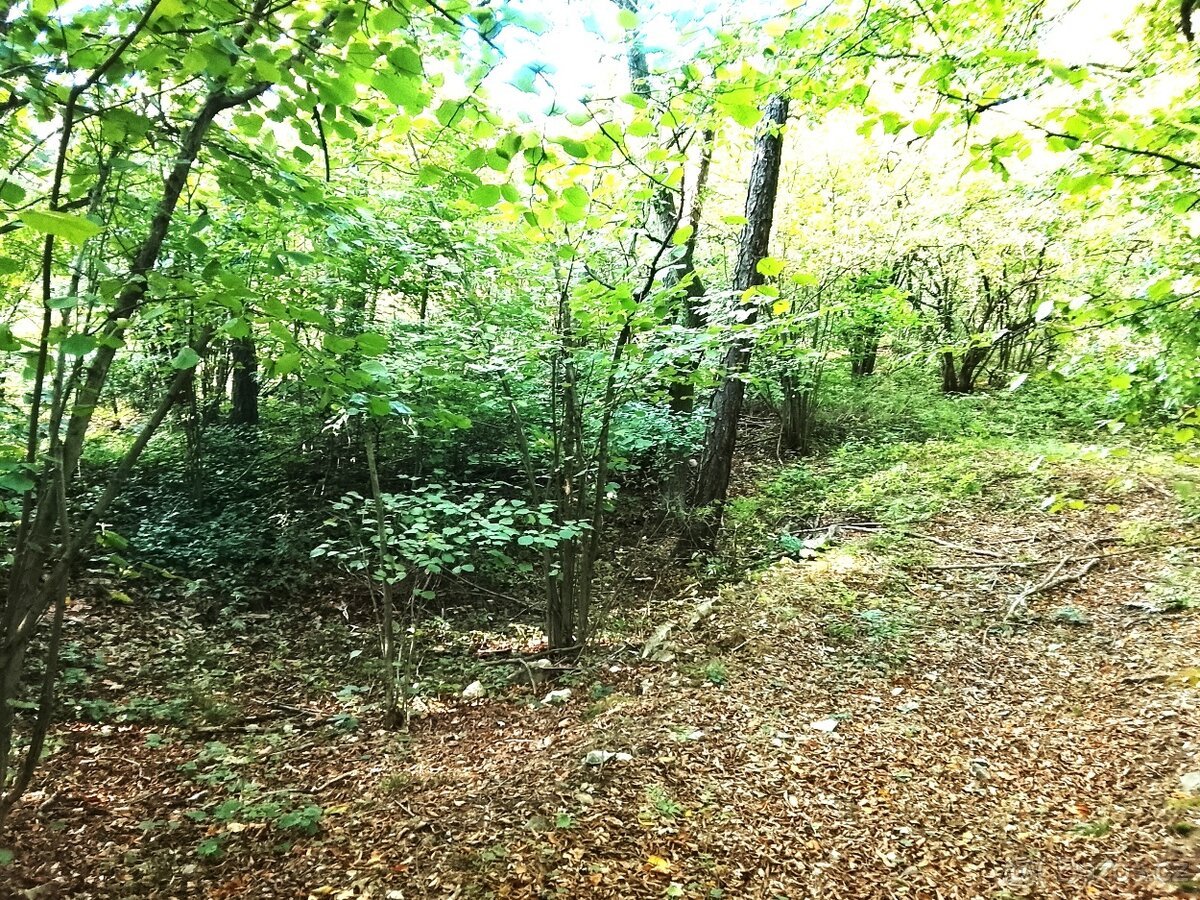 Pozemek ok Louny