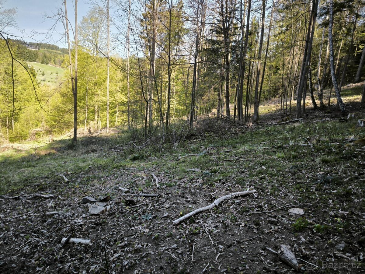 Prodej lesních pozemků k.ú. Zděchov (2)