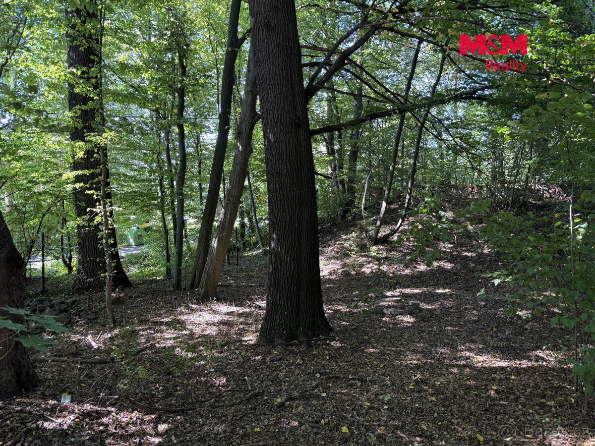Prodej pozemku k bydlení, 3402 m², Řepiště