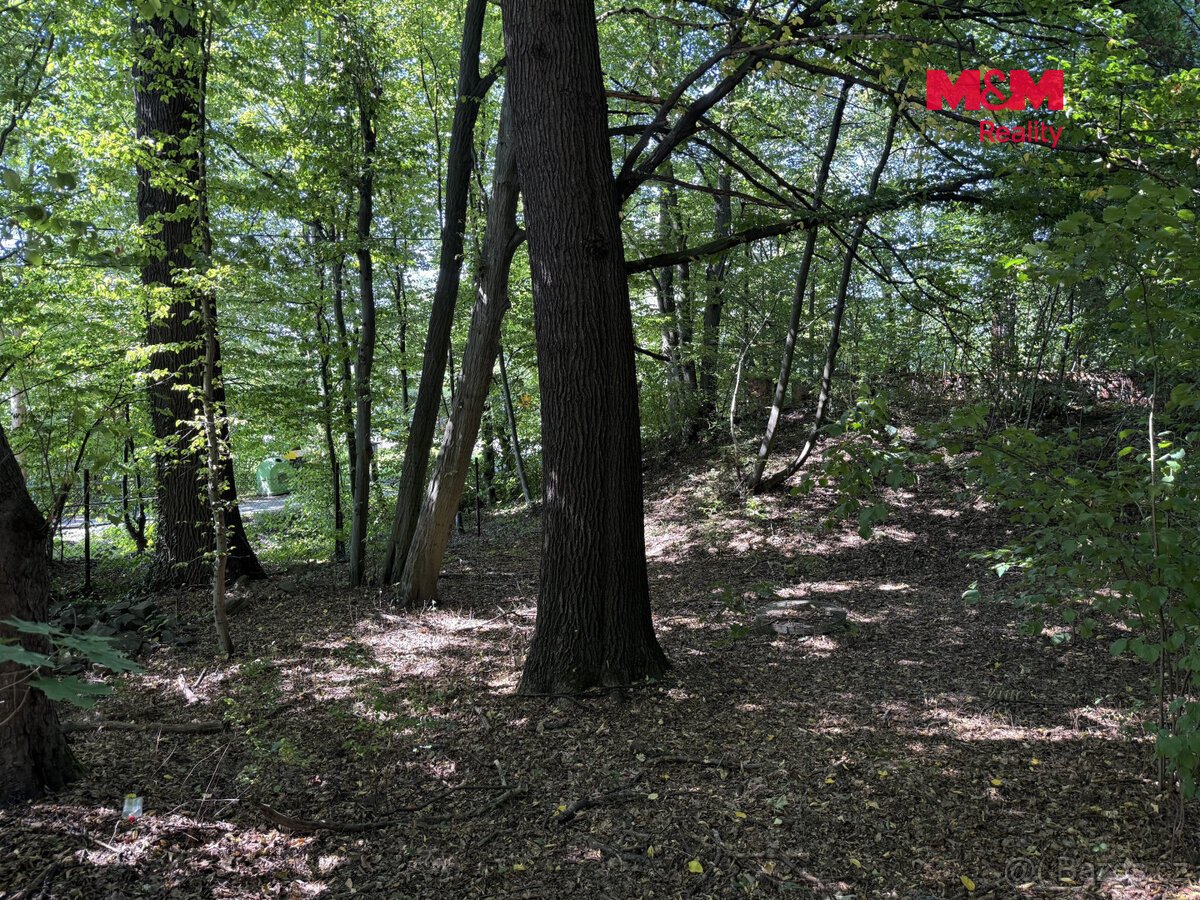 Prodej komerčního pozemku, 3402 m², Řepiště
