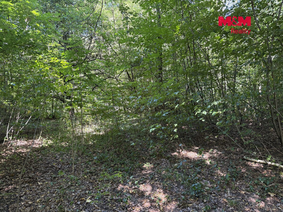 Prodej komerčního pozemku, 3402 m², Řepiště
