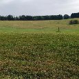 Prodej stavebního pozemku 2.589m² - Malšín