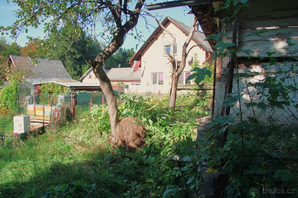 PRODEJ NEMOVITOSTI V ŽAMBERKU – BETLÉM, 7 344 m²