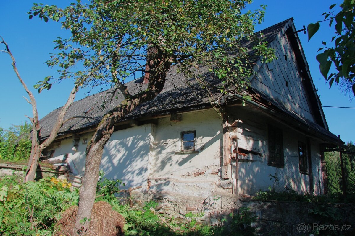 PRODEJ NEMOVITOSTI V ŽAMBERKU – BETLÉM, 7 344 m²