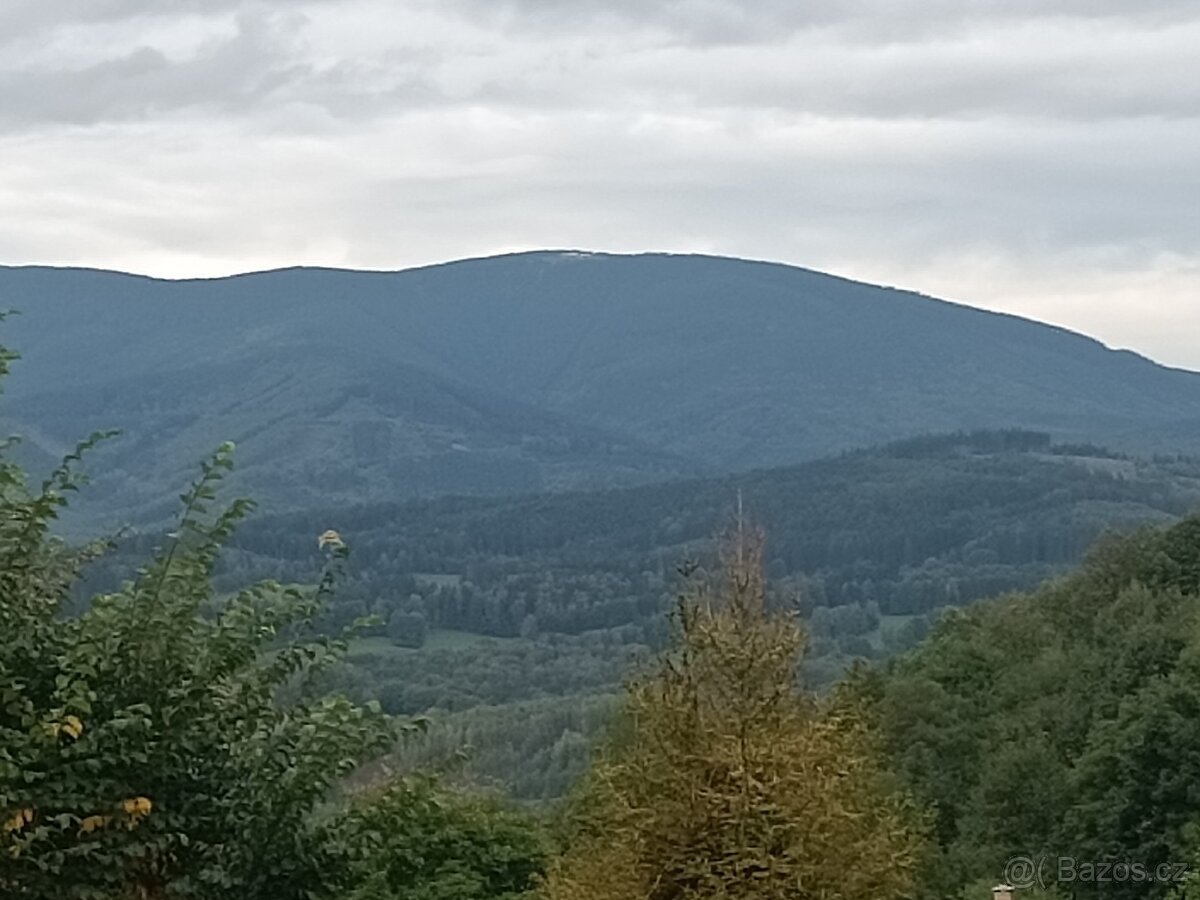 Lukrativní pozemek k zastavění 2 000 m² + 6 800 m²