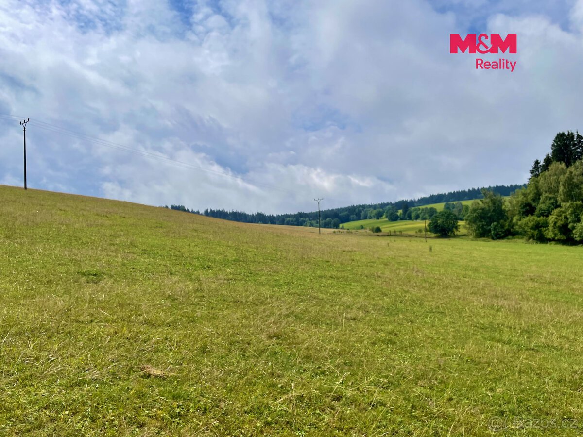 Prodej louky, 22170 m², Bartošovice v Orlických horách