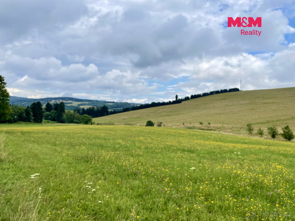 Prodej louky, 22170 m², Bartošovice v Orlických horách