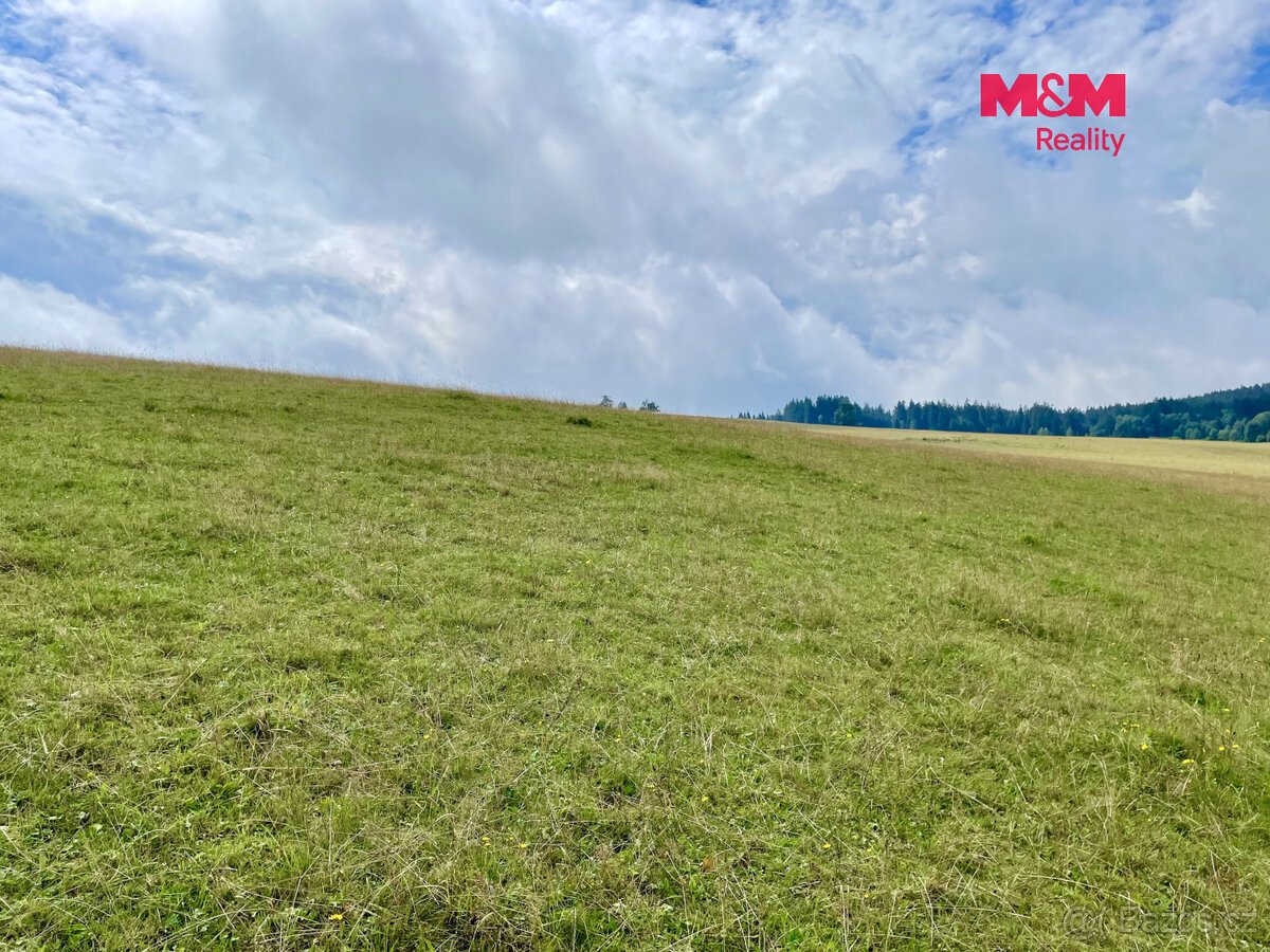 Prodej louky, 22170 m², Bartošovice v Orlických horách