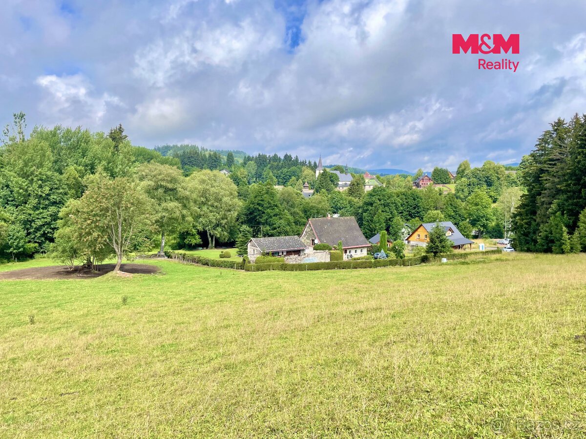 Prodej louky, 22170 m², Bartošovice v Orlických horách