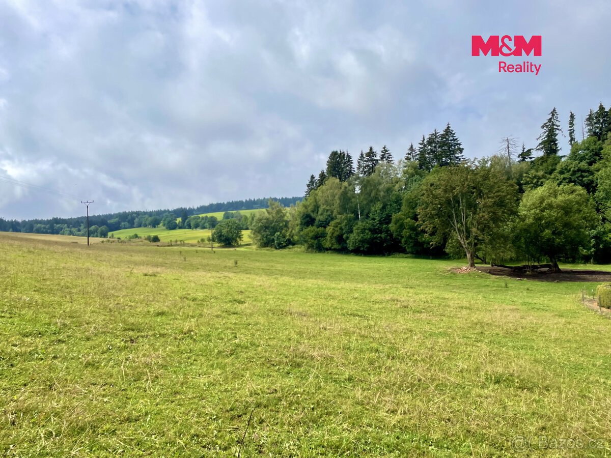 Prodej louky, 22170 m², Bartošovice v Orlických horách