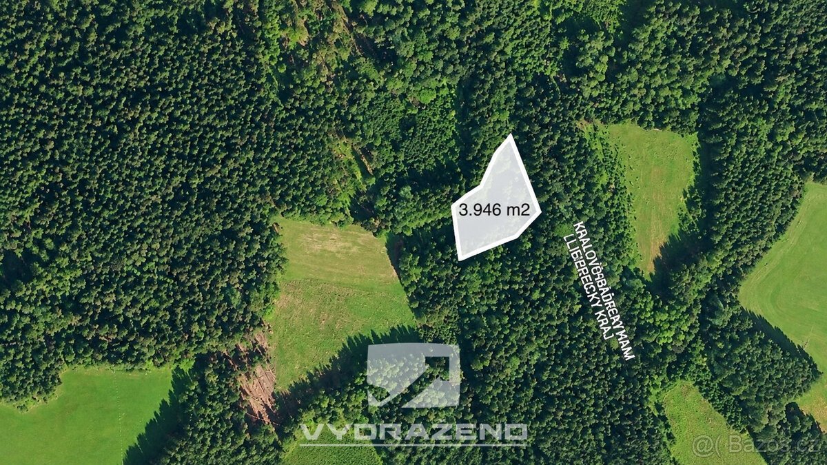 Pozemek (3946 m2) - Levínská Olešnice, Semily