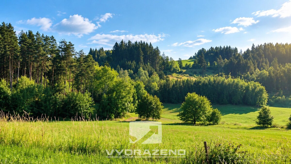 Pozemek (3946 m2) - Levínská Olešnice, Semily