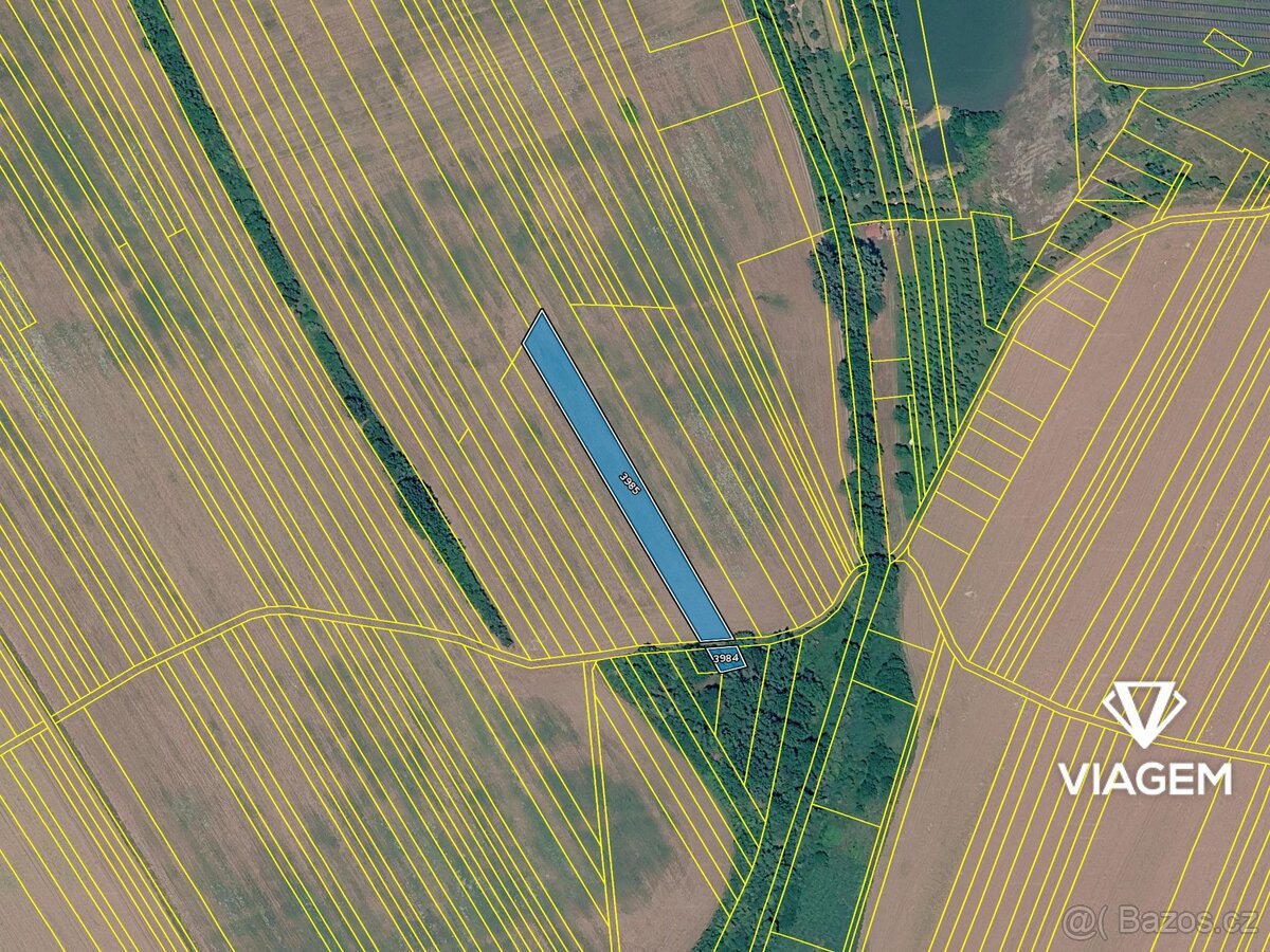 Pole 3 159 m²