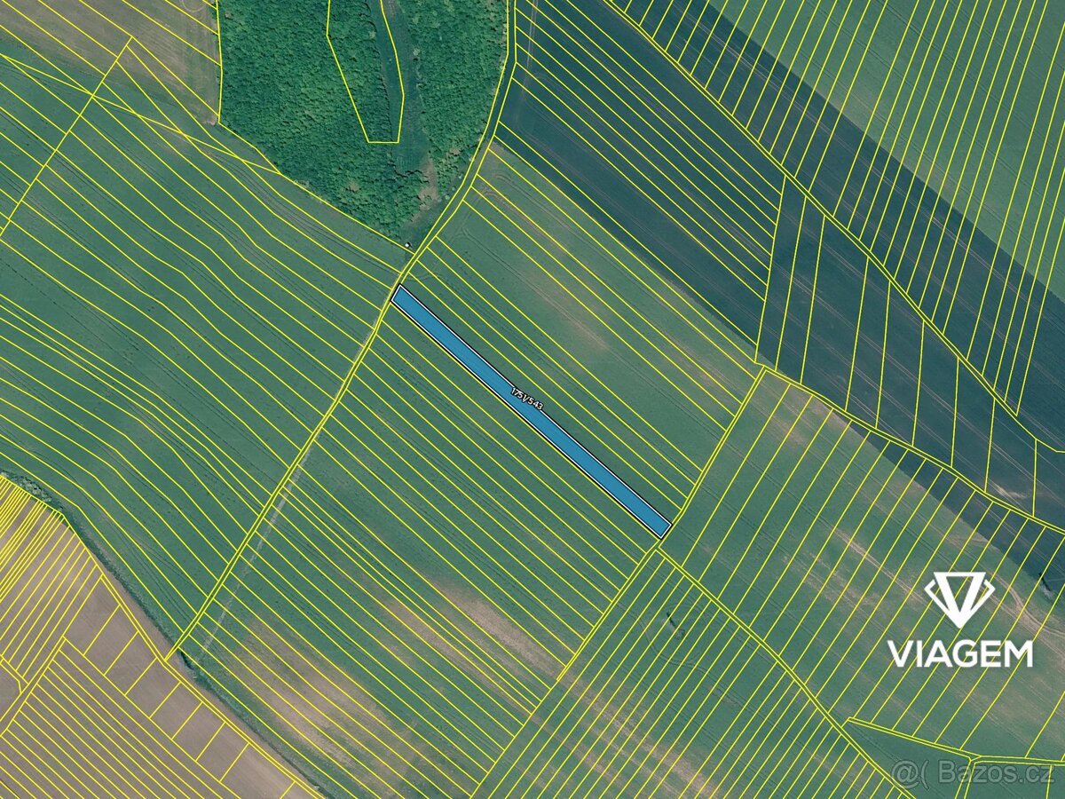 Pole 2 147 m², Podíl 50 % o výměře 1 074 m²