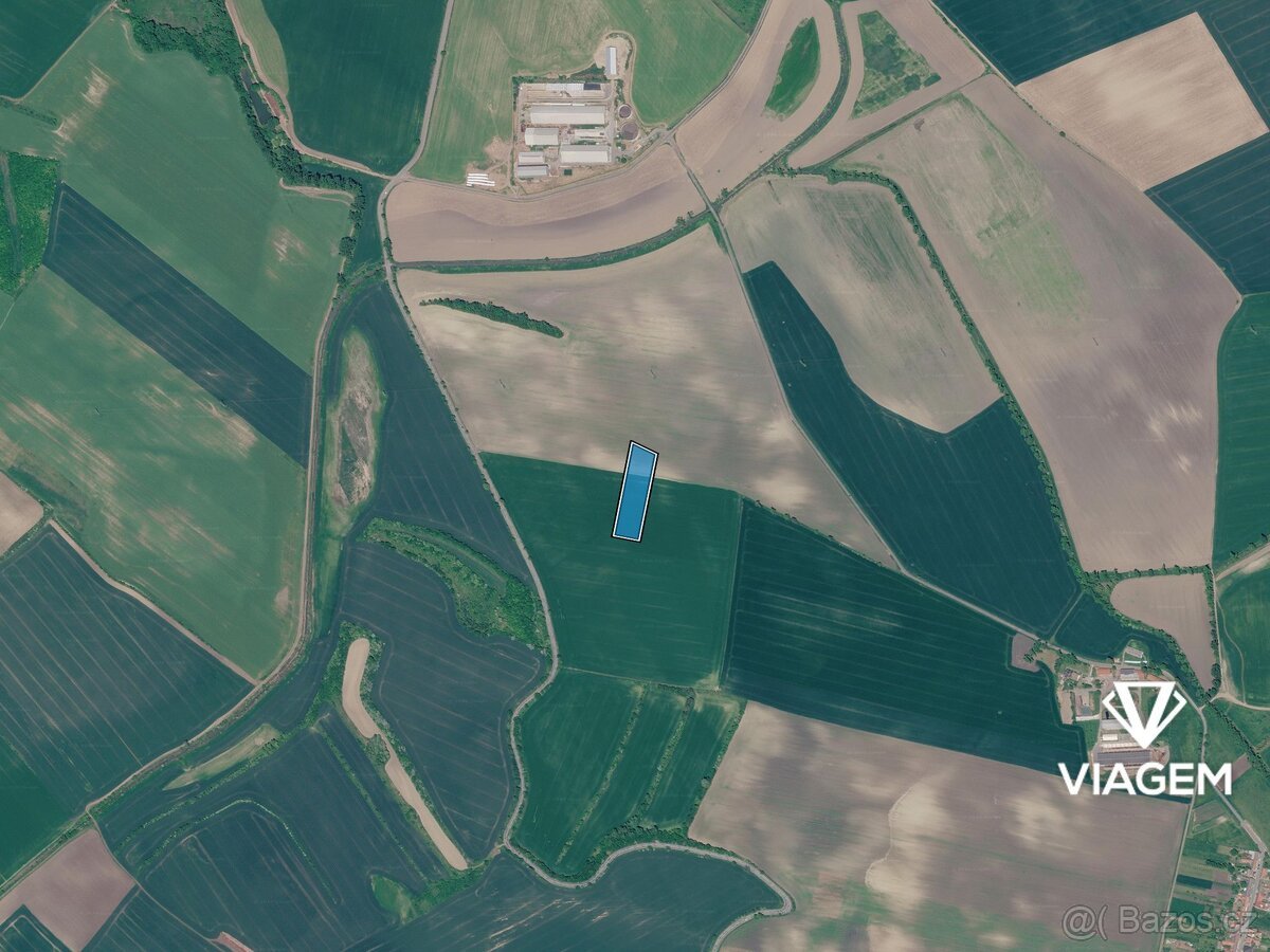 Pole 10 081 m², Podíl 33 % o výměře 3 360 m²