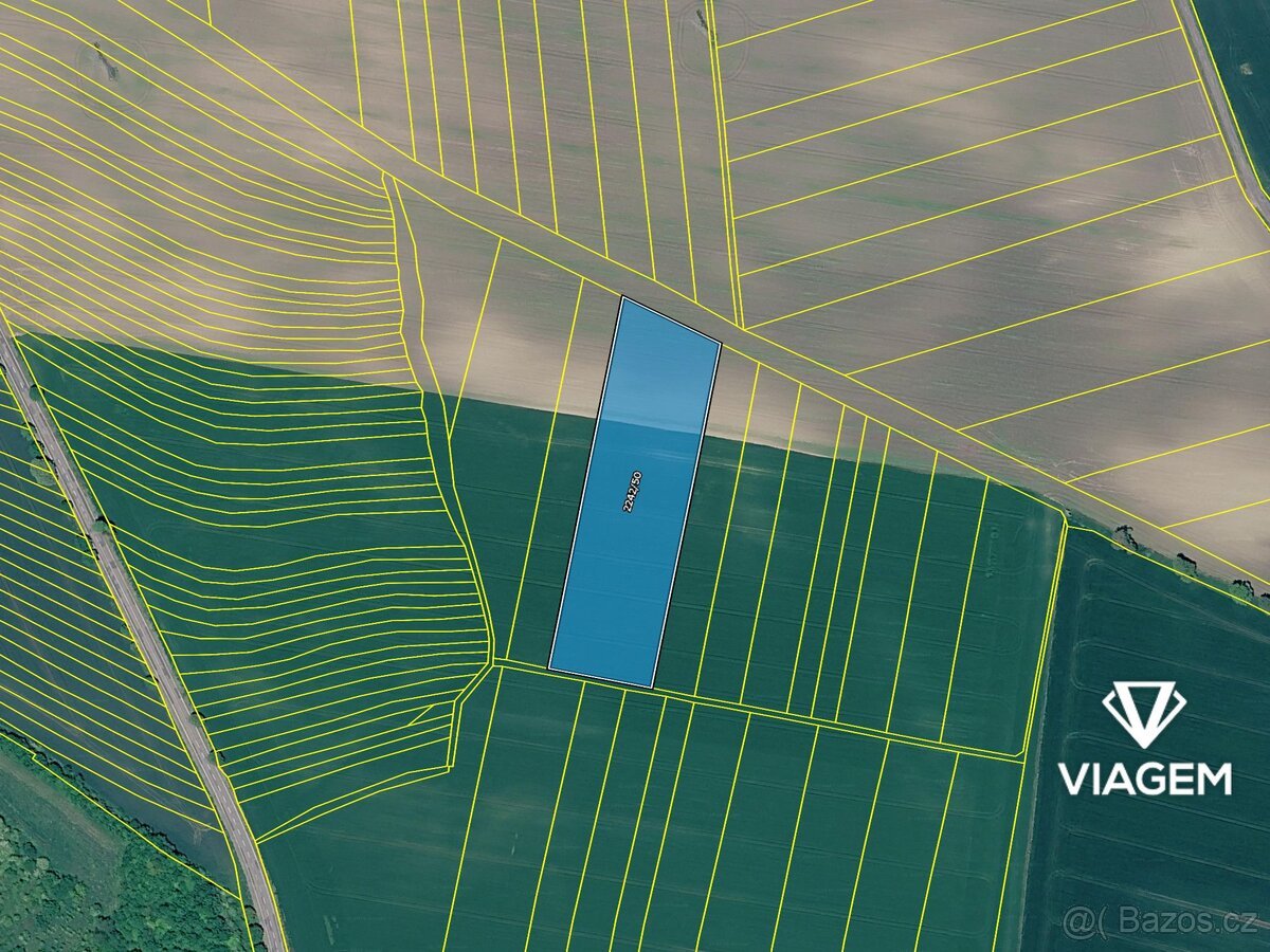 Pole 10 081 m², Podíl 33 % o výměře 3 360 m²