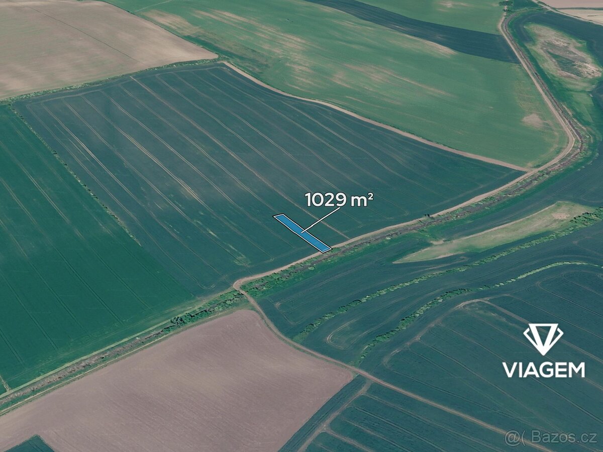 Pole 1 029 m², Podíl 33 % o výměře 343 m²