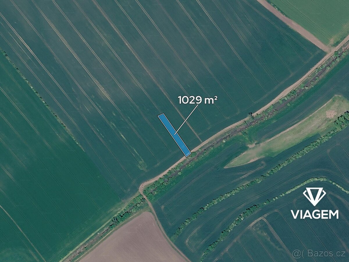 Pole 1 029 m², Podíl 33 % o výměře 343 m²