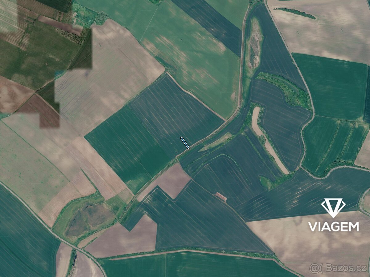 Pole 1 029 m², Podíl 33 % o výměře 343 m²