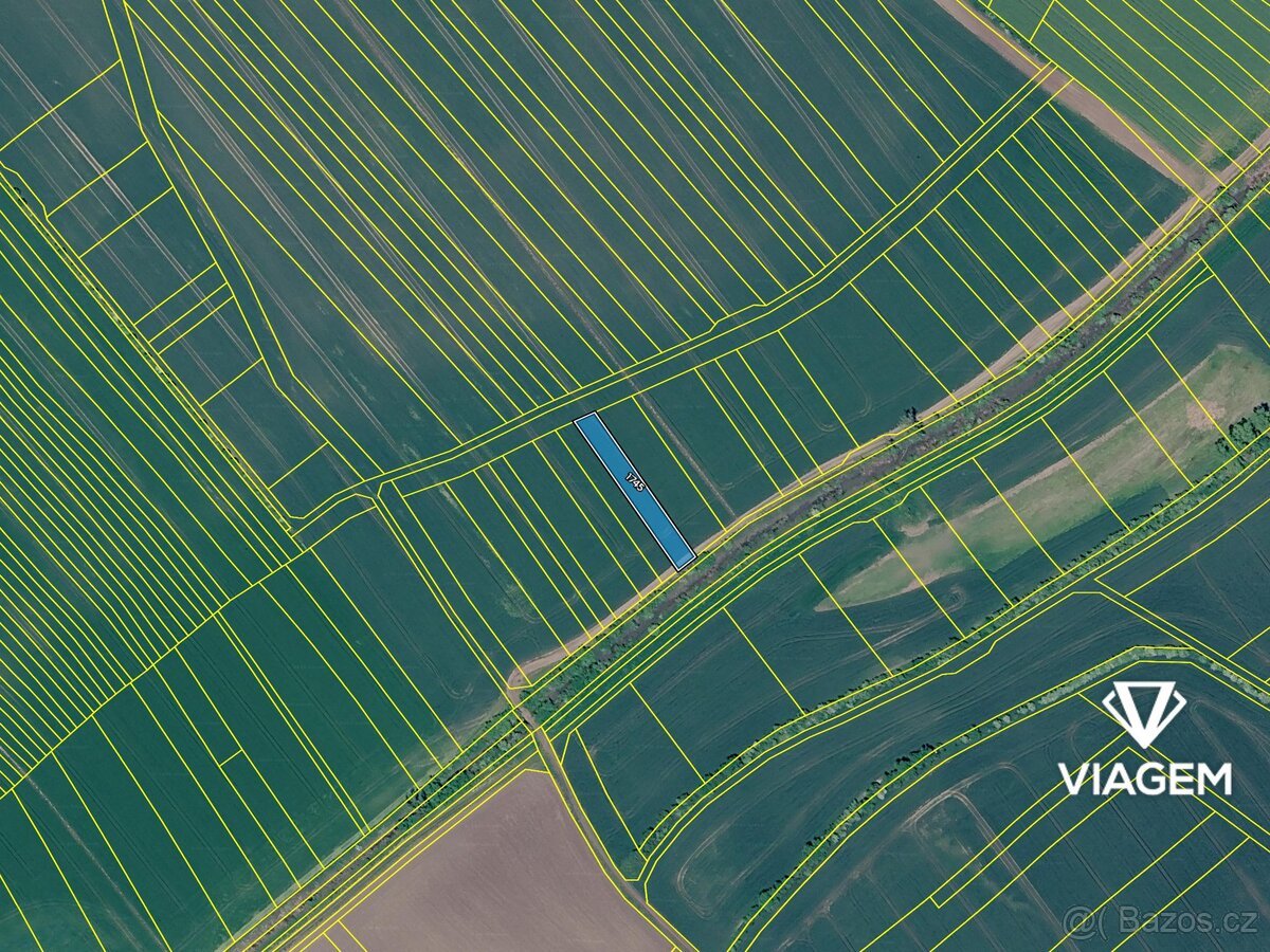 Pole 1 029 m², Podíl 33 % o výměře 343 m²
