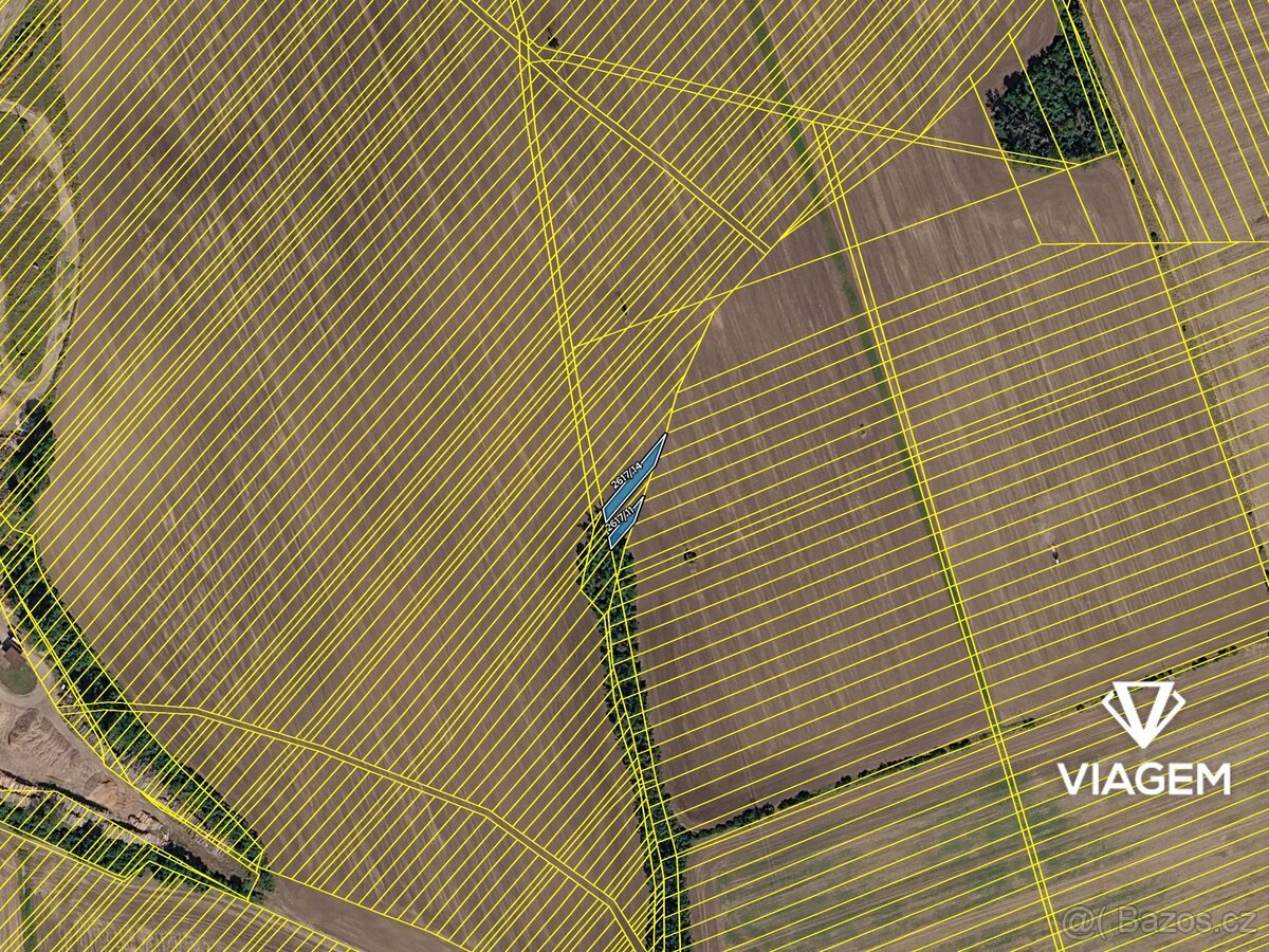 Pole 371 m²