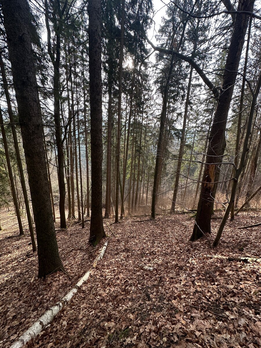Les