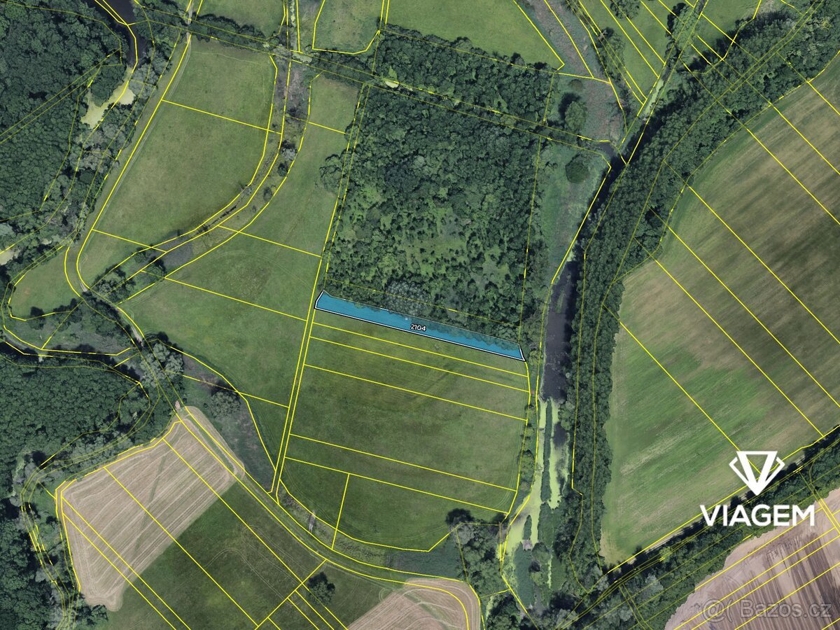 Pole 1 958 m², Podíl 33 % o výměře 653 m²