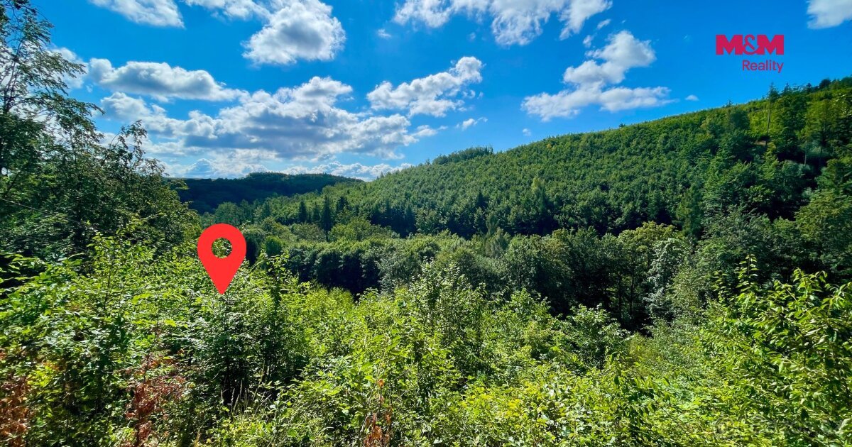 Prodej lesa, 5050 m², Hranice