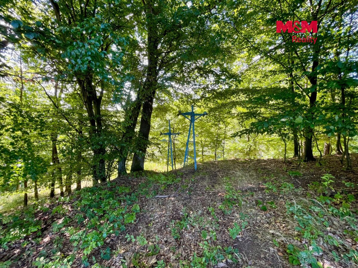 Prodej lesa, 5050 m², Hranice