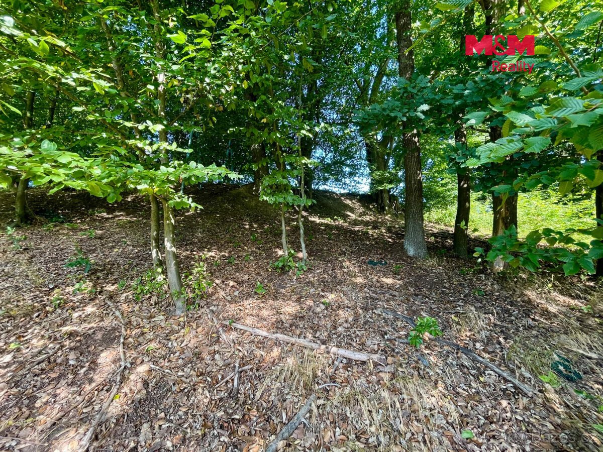 Prodej lesa, 5050 m², Hranice