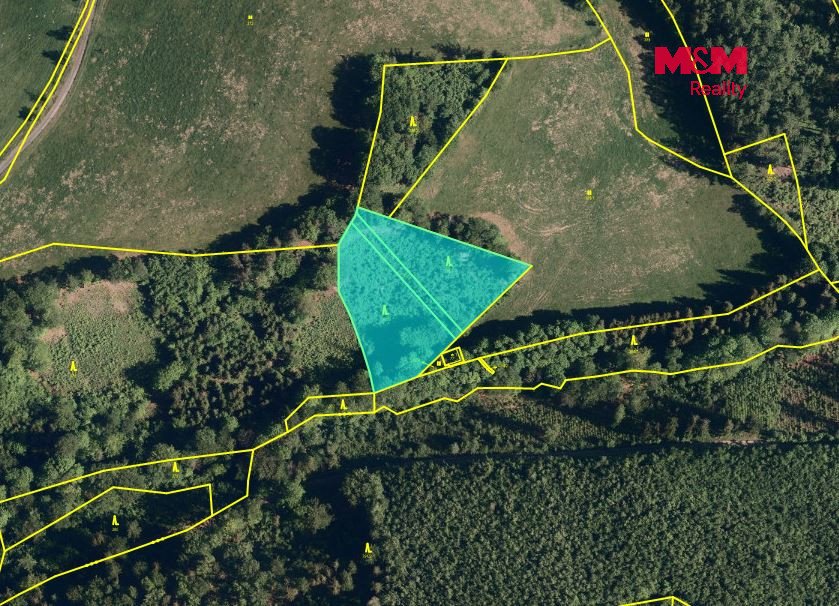 Prodej lesa, 5050 m², Hranice