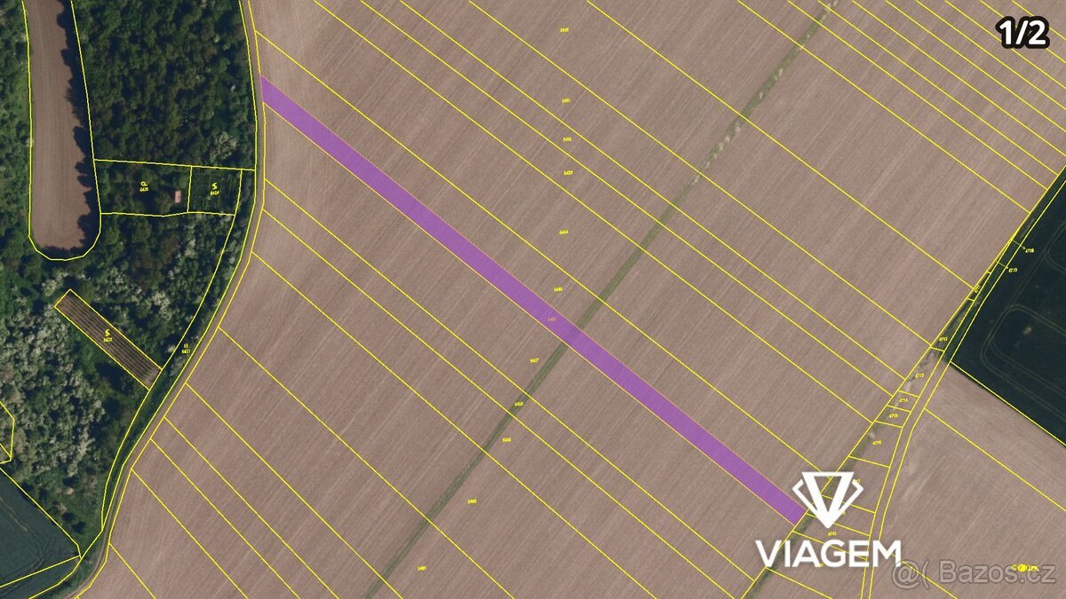 Pole 4 481 m², Podíl 33 % o výměře 639 m²
