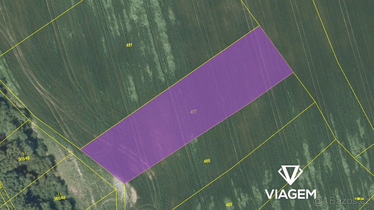 Pole 3 021 m², Podíl 25 % o výměře 755 m²