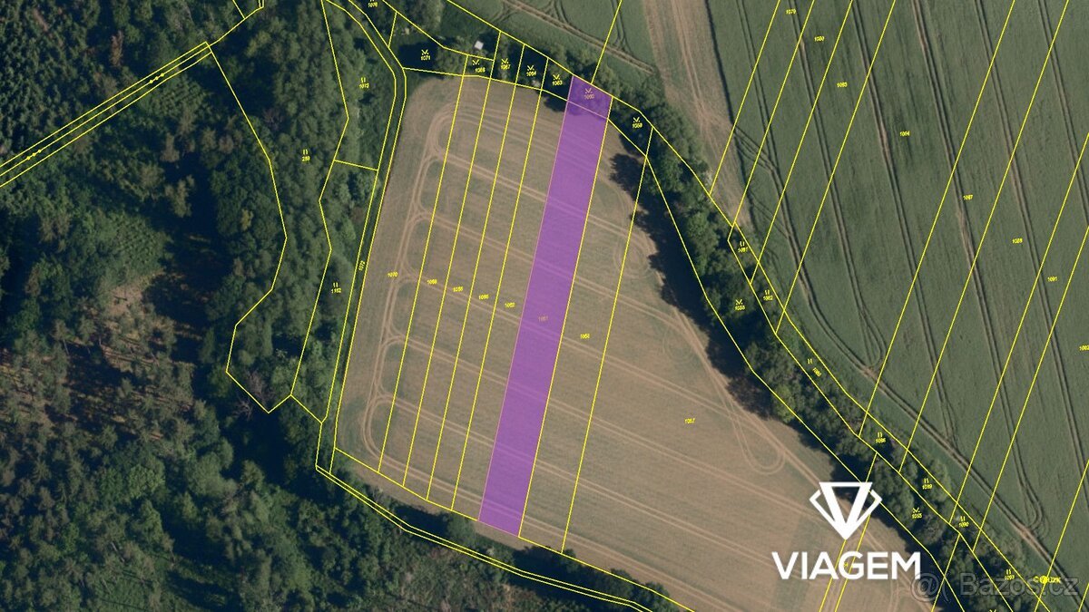 Pole 2 948 m², Podíl 20 % o výměře 590 m²