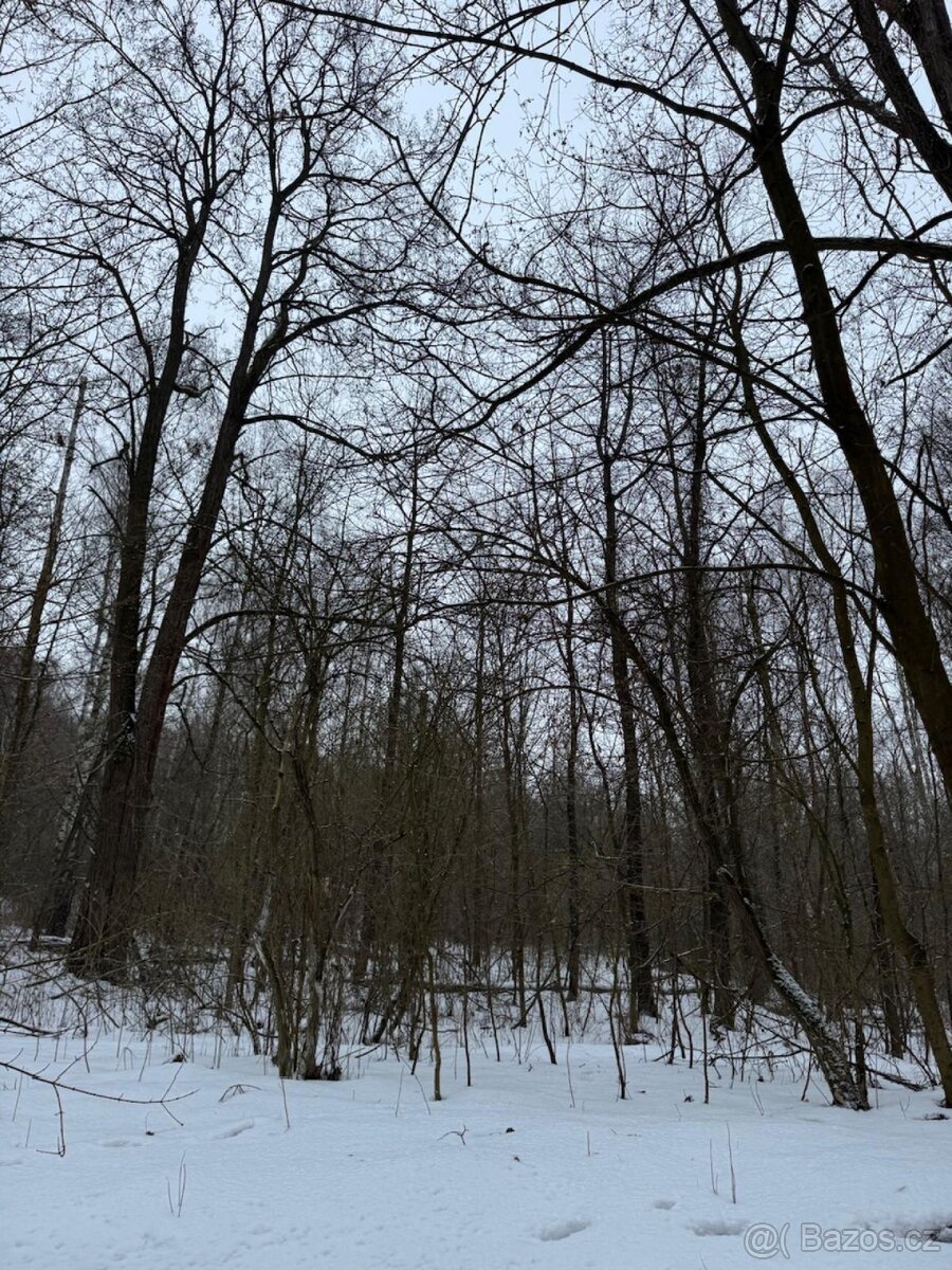Prodej pozemků k.ú. Minice u Kralup nad Vltavou (1)