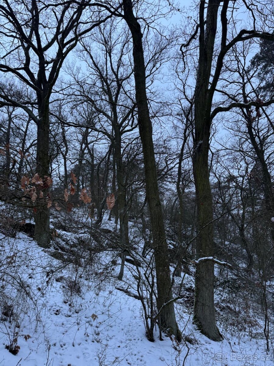 Prodej pozemků k.ú. Minice u Kralup nad Vltavou (1)