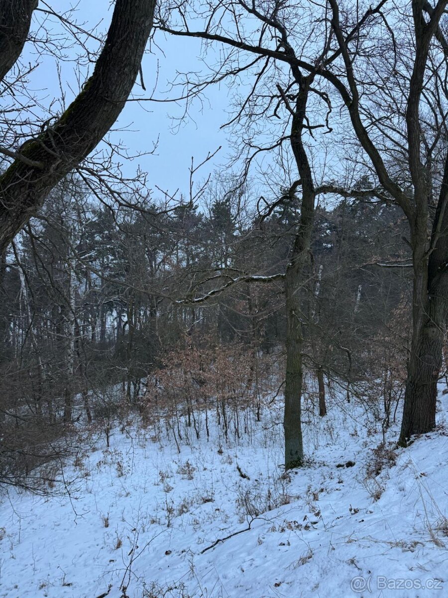 Prodej pozemků k.ú. Minice u Kralup nad Vltavou (1)