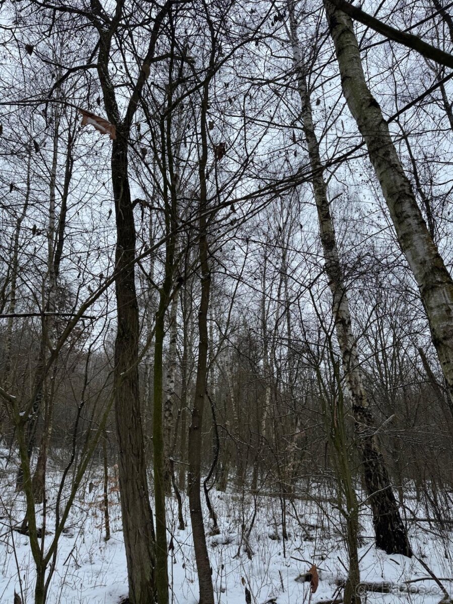 Prodej pozemků k.ú. Minice u Kralup nad Vltavou (1)