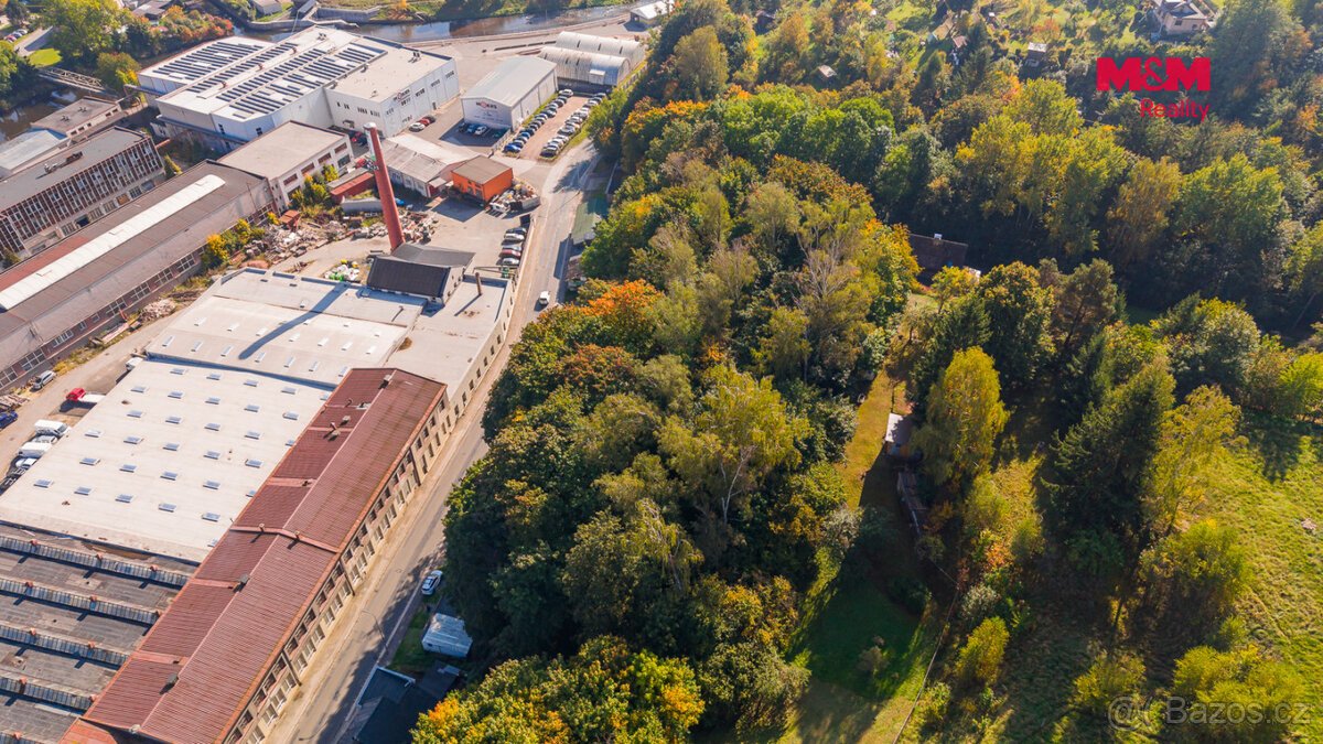 Prodej lesa, 3640 m², Úpice